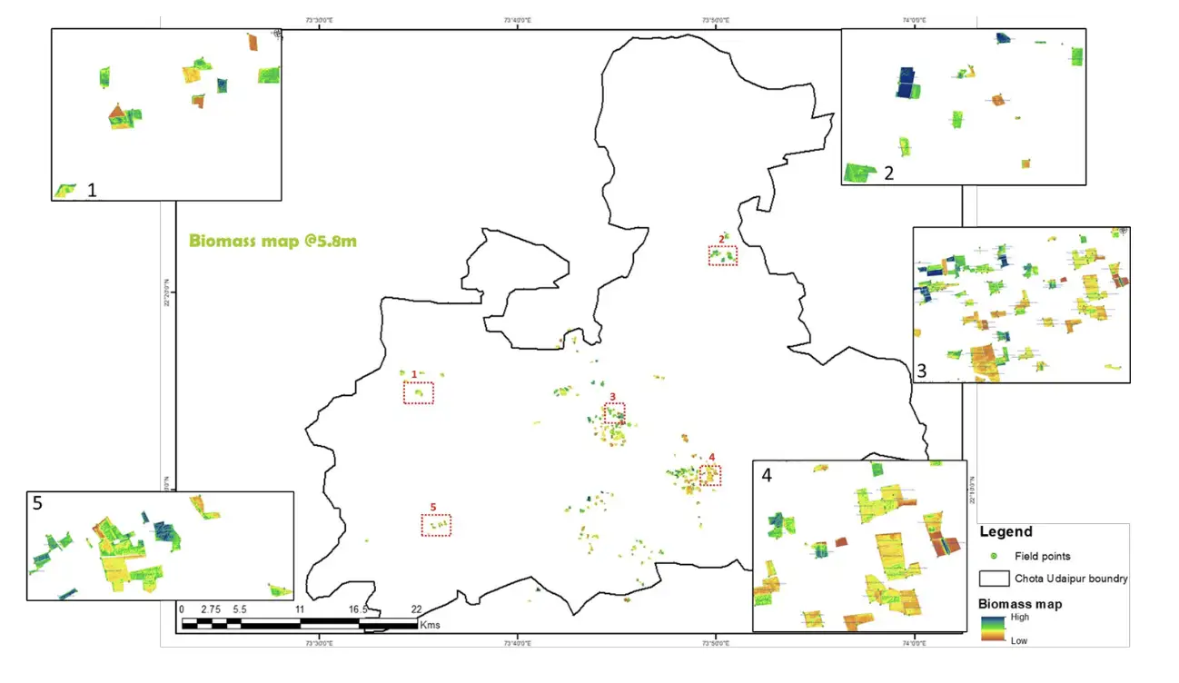 Agroforestry Farm Level Biomass And Carbon Maps - Image 4