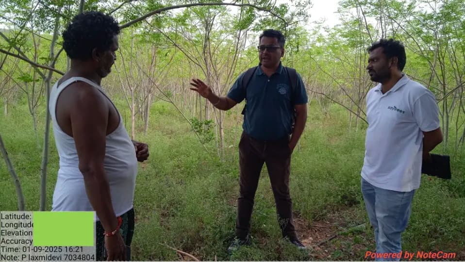 Field Data Collection - Image 1