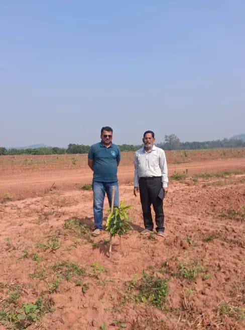 Field Data Collection - Image 3