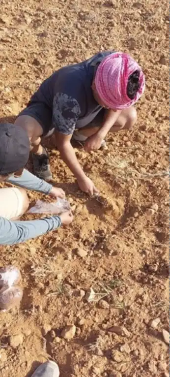 Field Data Collection - Image 7