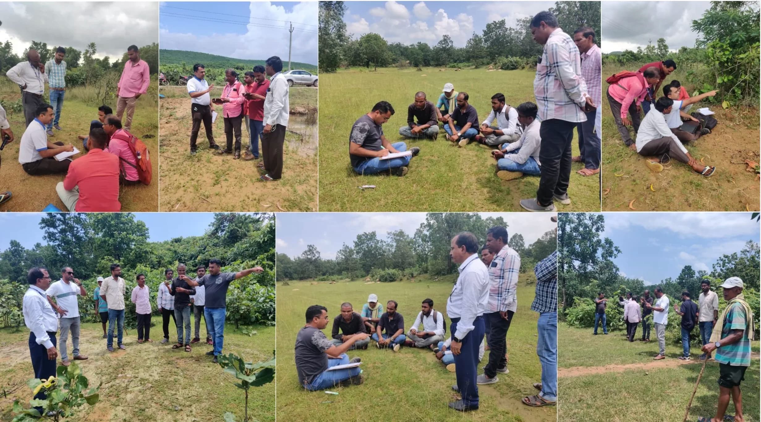 Field Data Collection - Image 8