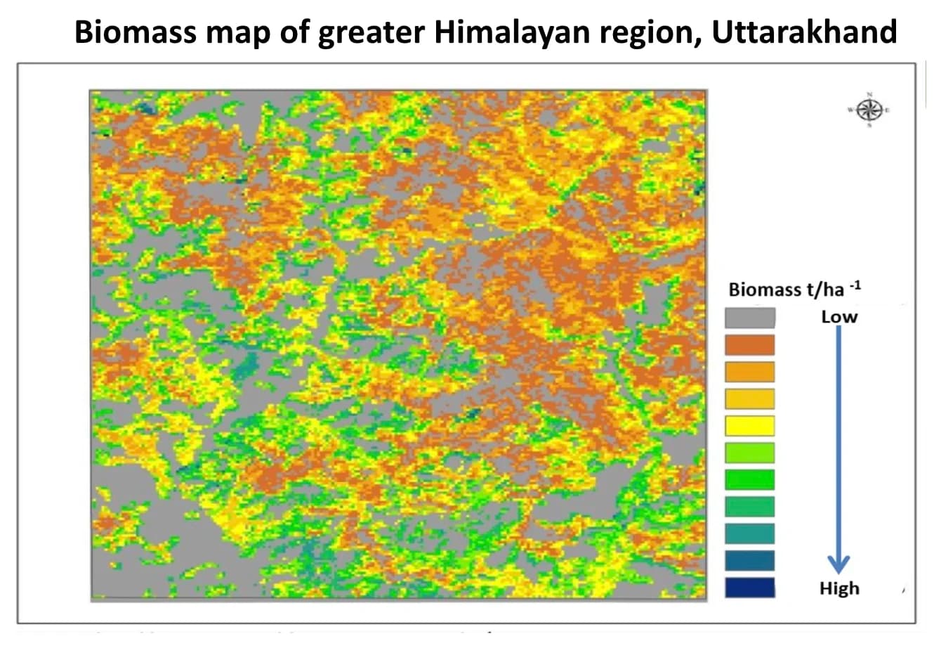 Forest Biomass And Carbon Maps - Image 2
