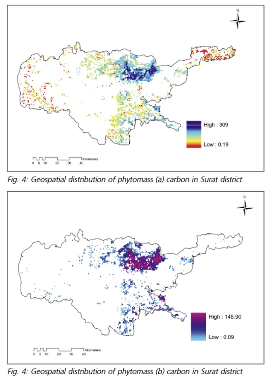 Forest Biomass And Carbon Maps - Image 4