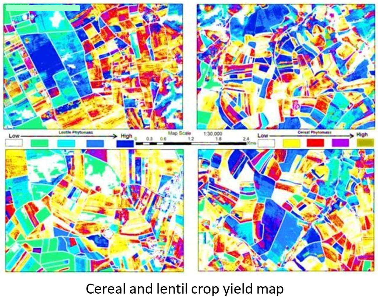 Standing Crop Yield Estimation - Image 4